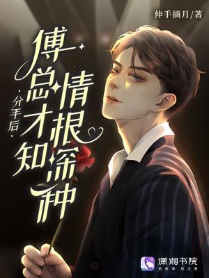 分手后，傅总才知情根深种封面
